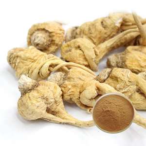 Polvo de raíz de maca de calidad de exportación, grado alimenticio, polvo de maca de alta calidad incluido en productos nutricionales para el apoyo cognitivo. - Product Image 2