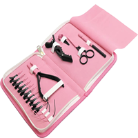 Kits d'outils de pose d'extensions capillaires de luxe en acier inoxydable – Vente en gros à prix réduit – Qualité supérieure, personnalisables, sûrs et portables