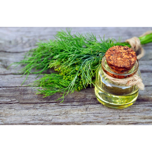 Aceite de Hanu Amla Puro y Natural al 100%, Extraído a Vapor, de Uttar Pradesh, para el Cuidado de la Piel - Product Image 4