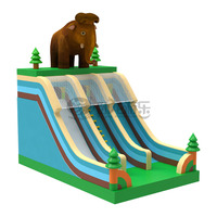 Utilisation familiale petit videur gonflable enfants sautant csatle avec toboggan chine trampoline gonflable à vendre