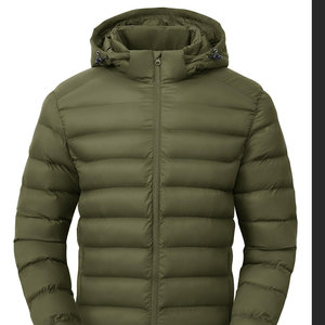 <b>Men</b> Custom Logo High Quality 100% Nylon Puffer <b>Jackets</b> Front Hooded Collar Regular Wear Adults Streetwear Winter Cheap Price - Product Image 1