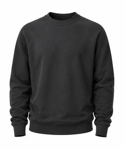 Sudadera de punto para hombre de 400 g/m², color carbón, cuello redondo, corte regular, manga raglán, color liso, estilo casual - Product Image 1