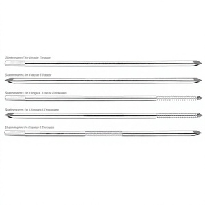 Clous orthopédiques de 25 cm pour la fixation chirurgicale des fractures, la stabilisation osseuse et la chirurgie traumatique orthopédique - Product Image 5