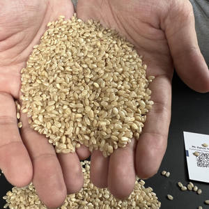 RIZ BRUN JAPONICA DE HAUTE QUALITÉ CHOIX NUTRITIF ET SAIN POUR L'EXPORTATION DU MARCHÉ DE L'UE, NOUVEAU TAUX DISPONIBLE | W/A: 0084909740687 - Product Image 5