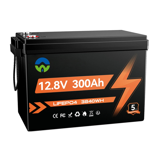 12V 300Ah LiFePO4 Lithium Battery, 200A BMS Deep Cycle Battery EV Grade A+ Battery Cells with Low-Temp Protection