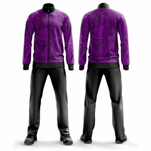 Ensemble de survêtement sportif personnalisé pour hommes et femmes, veste et pantalon de jogging, vêtements de sport d'équipe, fournisseur en gros de vêtements - Product Image 5