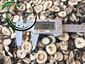 HOT DEAL 2024 EXPORTACIÓN BUEN PRECIO/NARANJA JOVEN SECA DE ALTA CALIDAD - Product Image 4