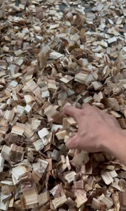 Virutas de Madera de Acacia con Humedad del 10-15%, Virutas de Madera Dura para Combustible de Biomasa y Fabricación de Papel, Vinh Phuc - Product Image 3