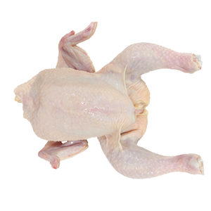 Filete de Pollo Halal Congelado, Sin Piel, Sin Hueso, Alto en Proteínas, Procesado, Carne de Aves de Primera Calidad para Exportación al por Mayor - Product Image 3