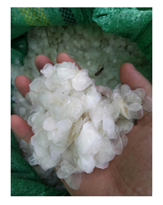 Escamas de Pescado Secas de Grado de Exportación, Materia Prima de Origen Natural para la Industria Alimentaria, Suministro a Granel, Empaque Profesional, Soporte Global - Product Image 1