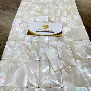 Pièces en nacre en vrac pour composants de bijoux et décoration intérieure - Product Image 1