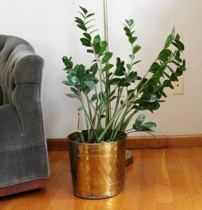 Pot de plante en métal minimaliste, jardinière en fer pour plantes d'intérieur, bureau, salon, balcon, décoration - Product Image 3