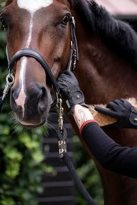 Professional Equestrian Horse Riding Gloves Soft Leather Construction Enhanced <b>Grip</b> Technology for Improved <b>Control</b> Safety - Product Image 3
