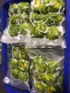 ผลิตภัณฑ์ทางการเกษตรผลไม้อะโวคาโดธรรมชาติมาตรฐานส่งออกราคาไม่แพง - Product Image 2