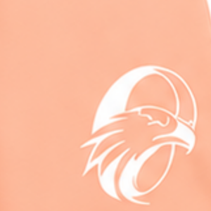 Customized Peach <b>White</b> Rugby <b>Shorts</b> Team Uniform Lightweight Breathable Custom Training Sportswear Athletic Performance <b>Shorts</b> - Product Image 6