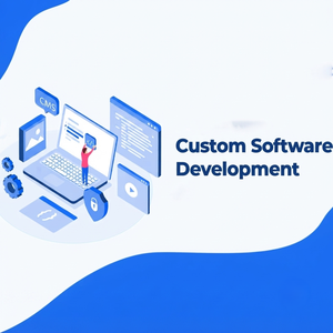 Services logiciels personnalisés avancés : développement d'applications sur mesure, intégration d'entreprise et solutions numériques évoluables - Product Image 1