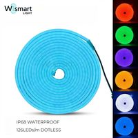 Bande lumineuse LED néon flexible en silicone (SMD2835) étanche IP68, éclairage d'ambiance dimmable pour intérieur et extérieur, usage commercial 5V/12V/220V