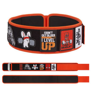 Custom LOGO Powerlifting Weightlifting Gym Belt Waist <b>Back</b> <b>Support</b> Weight Lifting Belt - Product Image 1