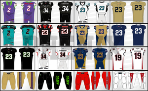 เสื้อฟุตบอลอเมริกันแขนกุดสำหรับผู้ชาย เบอร์ 17 ผ้าโพลีเอสเตอร์ระบายเหงื่อแบบซับลิเมชั่น คอวี ทรงแอธเลติก ชุดทีมสำหรับผู้ใหญ่ - Product Image 2