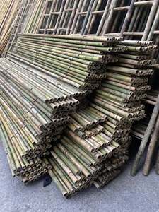 Durable Bamboo <b>Pole</b> Strong Structure <b>for</b> <b>Garden</b> Support and Building Projects - Product Image 2