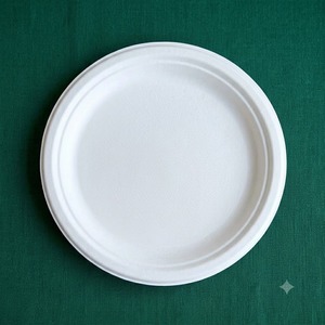 Assiette ronde blanche biodégradable de 9 pouces en bagasse de canne à sucre, compostable et jetable pour le dîner, le déjeuner et la restauration - Product Image 1