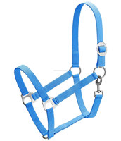 Équipement essentiel de licou de cheval de selle anglaise en nylon et PP de haute qualité pour l'équitation plusieurs couleurs disponibles