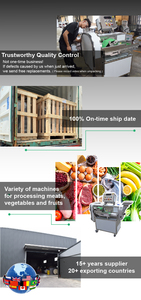 Cortadora Automática de Vegetales FM0003 de Taiwán, Máquina Cortadora de Anillos de Jalapeño - Product Image 5