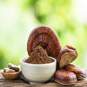 Poudre de Champignon Ganoderma Lucidum Bio en Gros, Extrait de Reishi 100% Pur, Superaliment pour l'Immunité et l'Énergie - Product Image 1