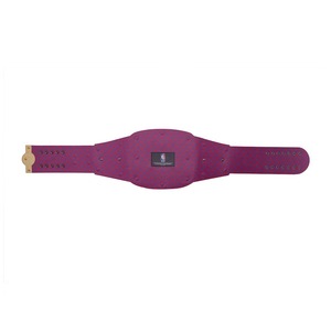 Réplica del Cinturón de Campeones de los Toronto Raptors Legacy Title - Product Image 6