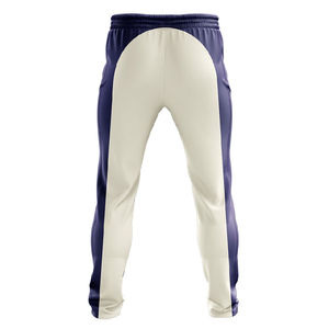 Ensemble de maillots de cricket en polyester de haute qualité, respirant, anti-humidité, couleurs personnalisables, service OEM - Product Image 6
