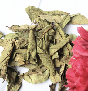 Feuilles de goyave séchées finement traitées, origine Vietnam, idéales pour les infusions délicates et les projets de cuisine créative - Product Image 2