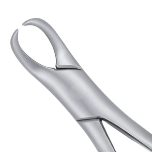 Forceps d'extraction des molaires inférieures 23 Cowhorn en acier inoxydable, instrument chirurgical dentaire pour l'extraction des dents, outil de chirurgie buccale réutilisable - Product Image 4