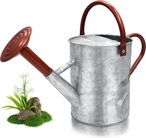 Arrosoir en métal artisanal, arrosoir de jardin, arrosoir décoratif, outil d'arrosage pour plantes d'intérieur et d'extérieur, style vintage - Product Image 4