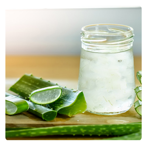 ข้อเสนอพิเศษ | เจลลี่ว่านหางจระเข้ที่กินได้คุณภาพสูง | สดชื่นและมีคุณค่าทางโภชนาการ | เหมาะสำหรับการทำอาหาร - Product Image 6