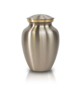 Elegante urna de metal para cenizas, recipiente de almacenamiento para funerales y memoriales de adultos, urnas para mascotas, decoración del hogar. - Product Image 1