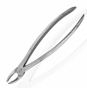 ARISTON INTERNATIONAL Pinzas de Extracción Dental de Alta Calidad con Patrón Inglés, de Acero Inoxidable, Tipo Alicate Manual, Uso Profesional - Product Image 3