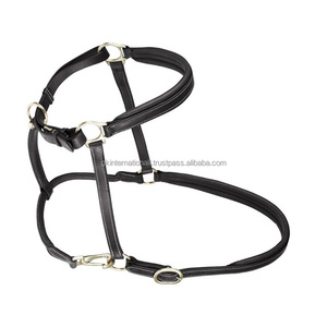 Premium Wholesale Popular Luxurious Elegant Perfect Adjustable Fashionable Padded Heavy Duty Durable Leather Horse <b>Halter</b> - Product Image 5