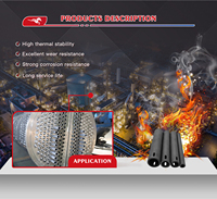 Tube en carbure de silicium résistant aux chocs thermiques, diamètre personnalisé, extrémité fermée pour la protection des thermocouples dans la fonderie d'aluminium