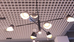 Luminaire suspendu en métal à 6 lumières pour salle à manger, lampe suspendue moderne pour plafond, luminaire d'intérieur compatible LED, fournisseur OEM - Product Image 2