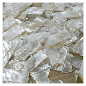 Pièces de nacre du Vietnam, coquillages de qualité supérieure pour la fabrication de bijoux, la décoration intérieure et le marché d'exportation - Product Image 6