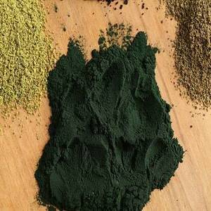Poudre de Spiruline de Qualité Pharmaceutique 60% pour Compléments Alimentaires - Certifiée GMP, Emballage en Fût en Vrac, Riche en Protéines, Culture Artificielle - Product Image 5