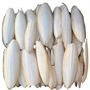 Harina de Hueso de Sepia Seca Barata de Vietnam |   Mineral con Alto Contenido de Calcio |   Ingrediente para Alimento Animal a Granel - Product Image 1