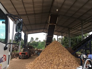 Granulés de bois de pin, acacia et eucalyptus, sciure de bois, diamètre 9,5-45 mm, humidité 40 %, origine Vinh Phuc - Partenaires d'exportation fiables, solides - Product Image 3