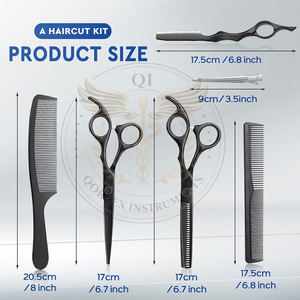 Juego de tijeras profesionales para cortar el cabello, 10 piezas, kit de tijeras para corte de cabello, para hombres y mujeres, para el hogar, salón de belleza, barbería, 6.5 pulgadas, color negro, regalo de Navidad - Product Image 1