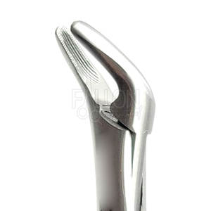 Pinzas de Extracción Dental Premium para Uso Quirúrgico y Clínico, Pinzas de Extracción Dental de Alta Calidad con Mango Ergonómico - Product Image 6