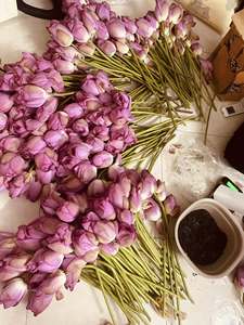 Natural Vietnamese Dried Lotus Blossoms for Herbal <b>Tea</b> and Wellness - Product Image 2