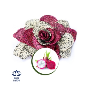 TRUSTED QUALITY Clean Soft Dried Dragon Fruit Delicious Smoothie Mix Tasty Daily Snack Safe Chewy Tropical Fruit Material - Product Image 1