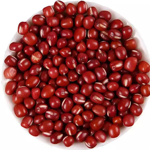 Venta al por mayor de frijoles rojos secos de forma alargada, frijoles rojos británicos para exportación, alta calidad, gran demanda, saludables y verdes. - Product Image 6