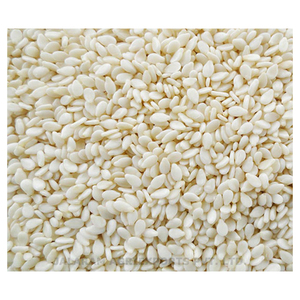 High Quality White Hulled Sesame <b>Seeds</b> Cleaned for Food Industry and Bulk Supply - Product Image 1