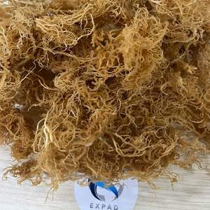 Sun <b>Dried</b> Irish <b>Moss</b> Seaweed Organic Eucheuma Cottonii Vietnam OEM Bulk Export - Product Image 3